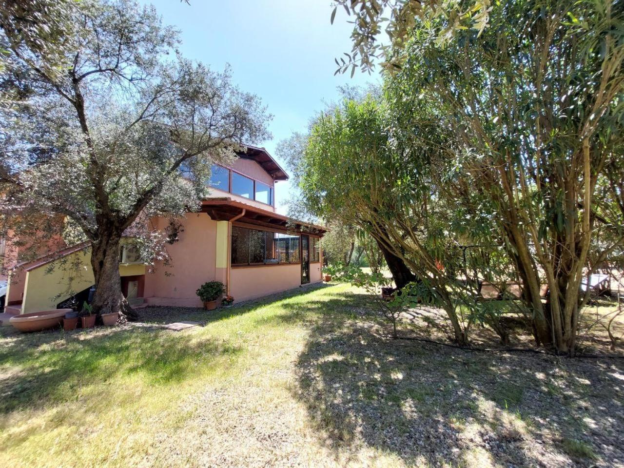 Casa L' Antico Ulivo Apartment Иглесиас Екстериор снимка